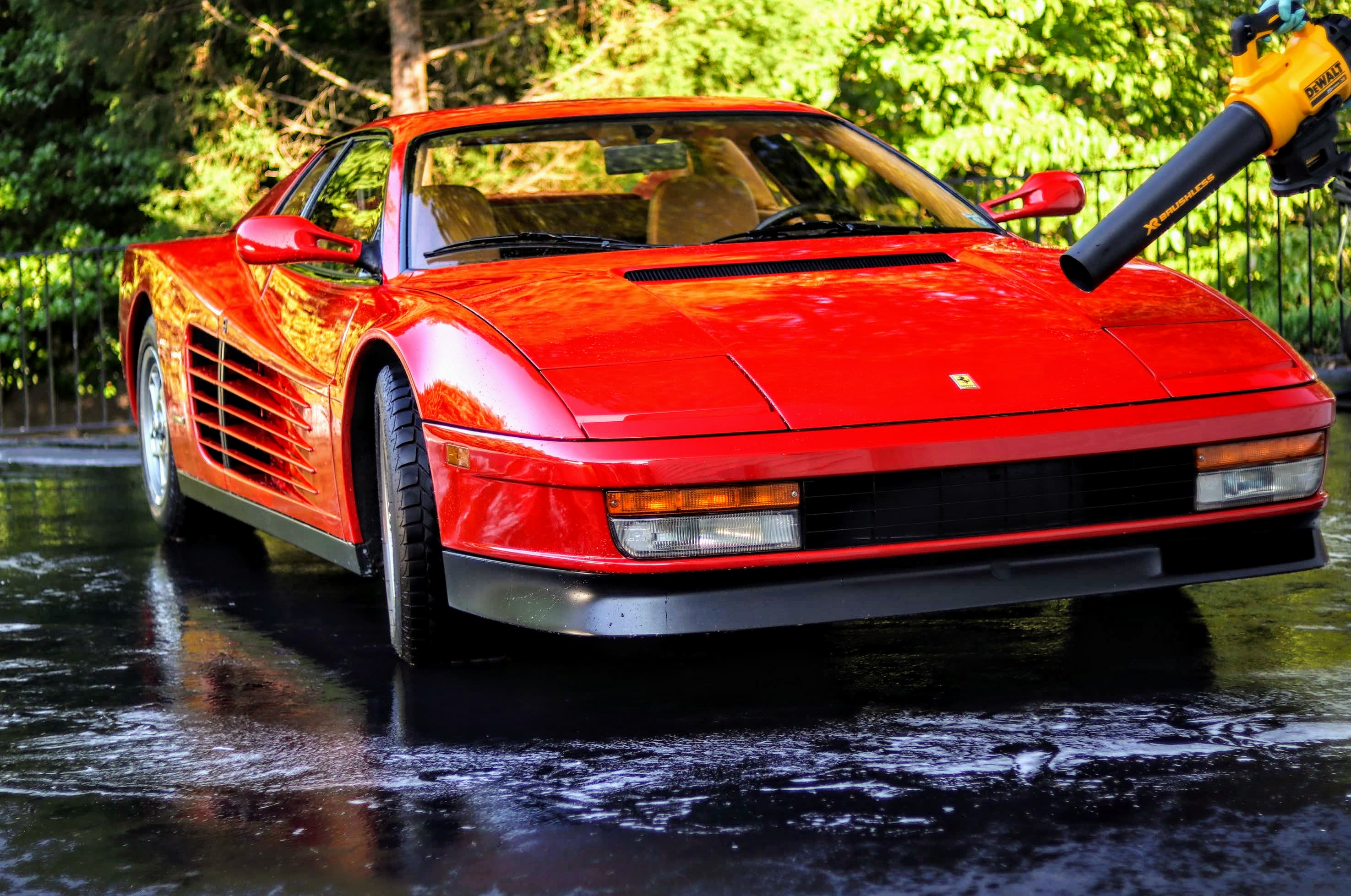 Drying the Ferrari Testarossa with the Dewalt 20v Battery Powered Blower